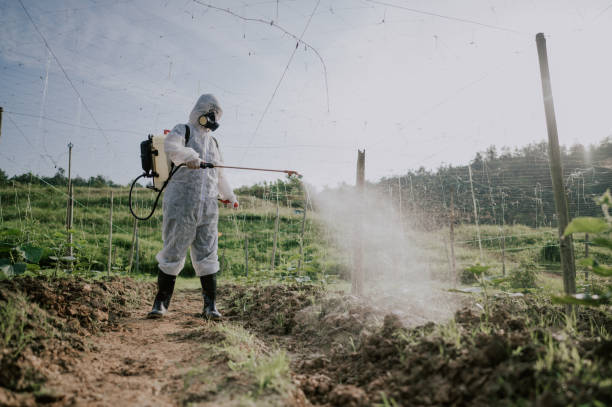 Best Pest Prevention Services  in Jamestown, ND