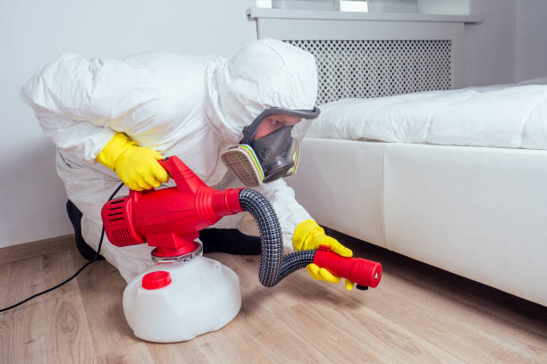 Best Pest Removal Services  in Jamestown, ND