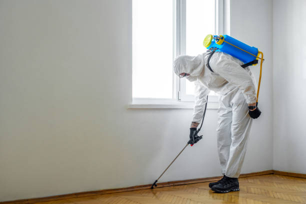 Best Exterminator Services  in Jamestown, ND