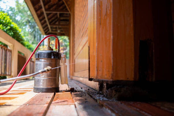 Best Pest Control Treatment  in Jamestown, ND