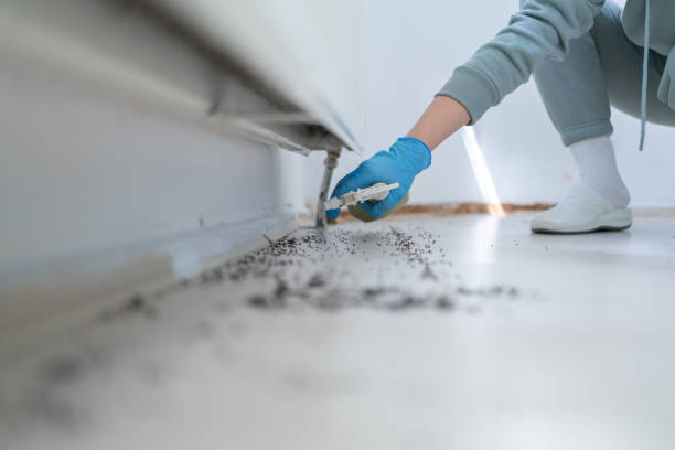 Best Best Pest Control Companies  in Jamestown, ND