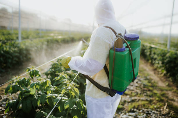 Best Pest Inspection Near Me  in Jamestown, ND